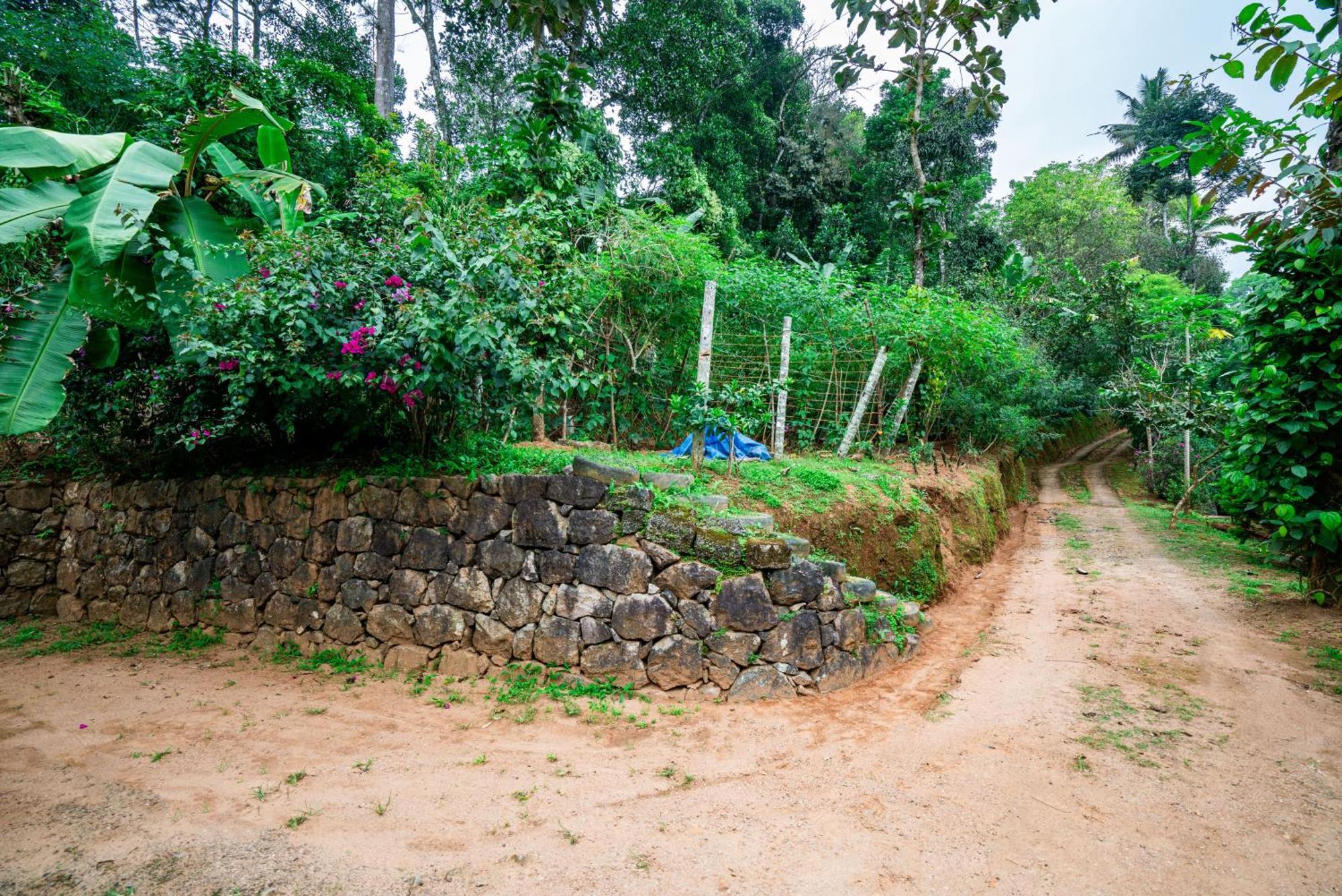 מונאר Nature Routes Cottage מראה חיצוני תמונה